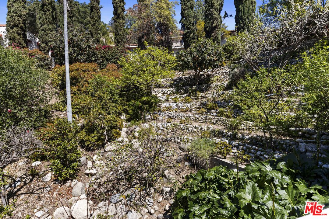 3275 Buckingham Road Glendale, CA 91206 - Photo 30 of 33 a view of a plant in a garden