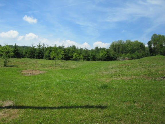 1405 Poor Farm Road Southeast Floyd, VA 24091 - Photo 11 of 46 a view of a field with trees in the background