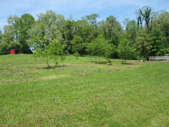 1405 Poor Farm Road Southeast Floyd, VA 24091 - Photo 12 of 46 a view of outdoor space with deck and yard