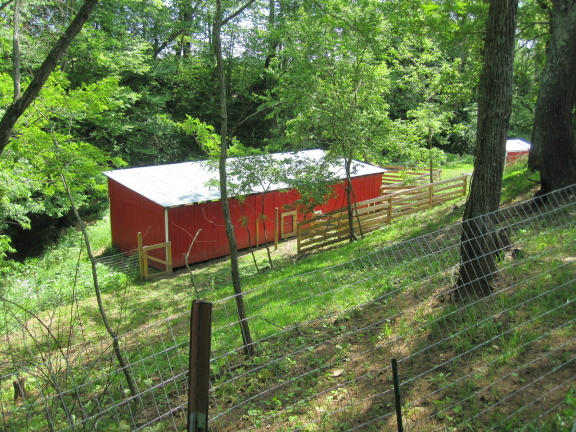 1405 Poor Farm Road Southeast Floyd, VA 24091 - Photo 13 of 46 a backyard of a house with lots of green space and fountain