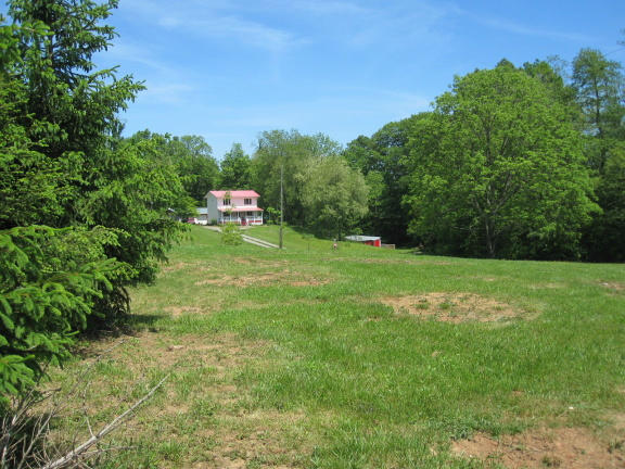 1405 Poor Farm Road Southeast Floyd, VA 24091 - Photo 5 of 46 a big yard with lots of green space and plants