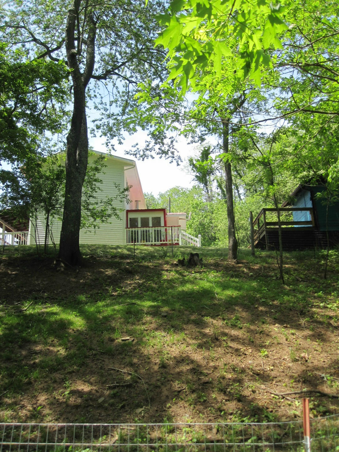 1405 Poor Farm Road Southeast Floyd, VA 24091 - Photo 43 of 46 a view of a yard with plants and trees