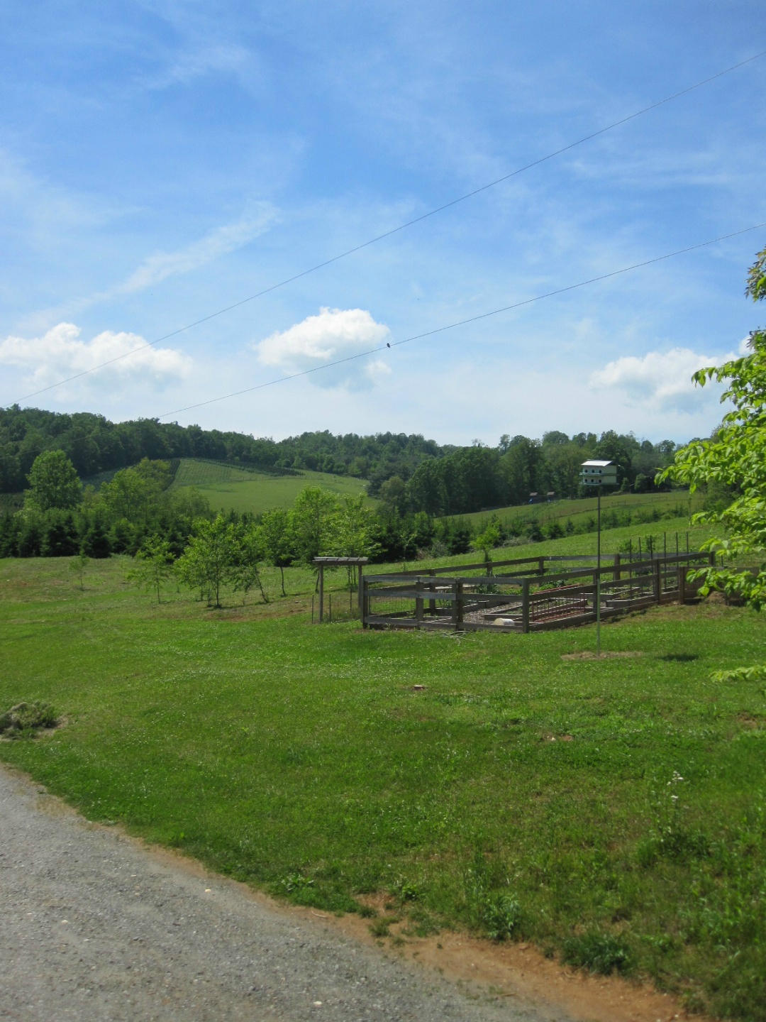 1405 Poor Farm Road Southeast Floyd, VA 24091 - Photo 7 of 46 a view of a green field with clear sky