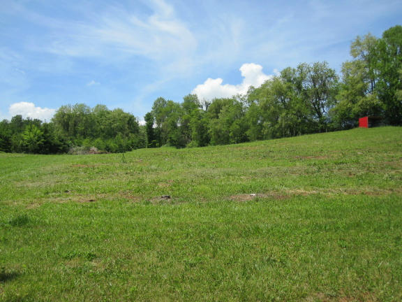 1405 Poor Farm Road Southeast Floyd, VA 24091 - Photo 10 of 46 a view of a grassy field with trees in the background
