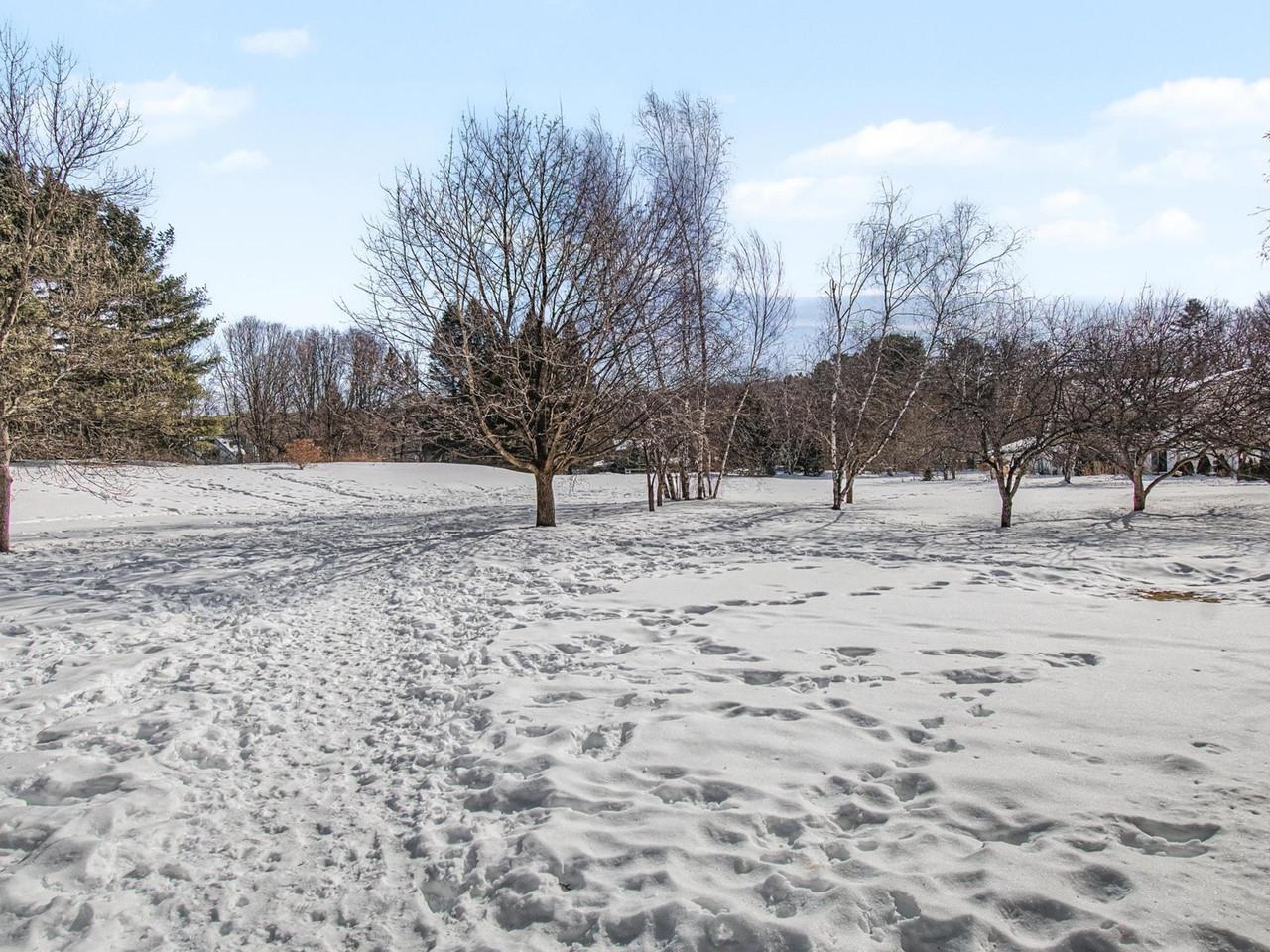 66 Starbird Road, Unit E Jericho, VT 05465 - Photo 22 of 29