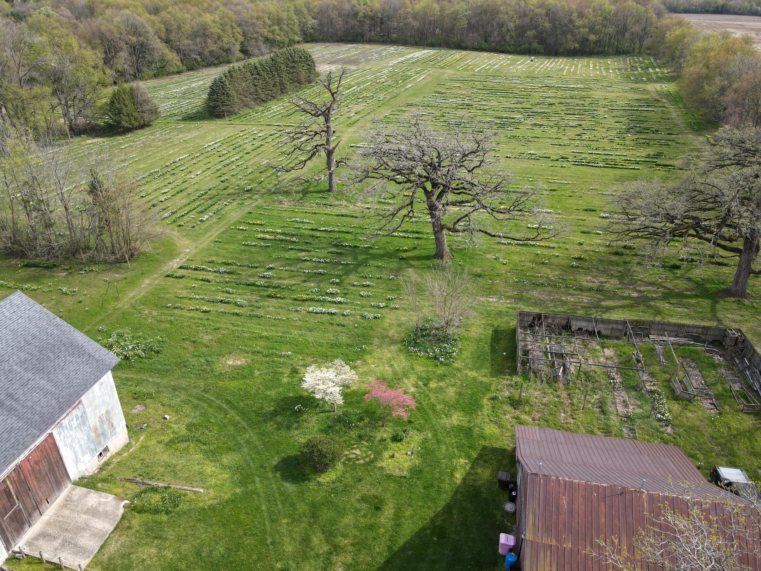 2330 West Bertrand Road Niles, MI 49120 - Photo 23 of 61 dji_fly_20240422_164004_281_171381842005