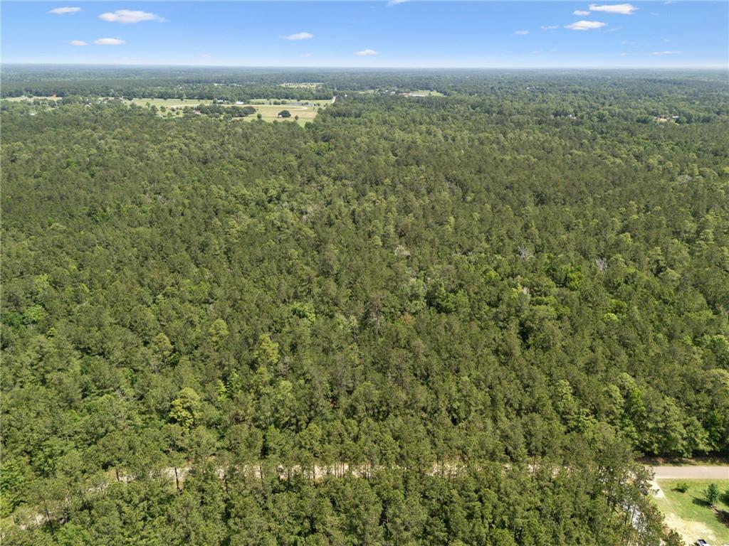 1 7.01 Acres) Bruhl Road Folsom, LA 70437 - Photo 7 of 12