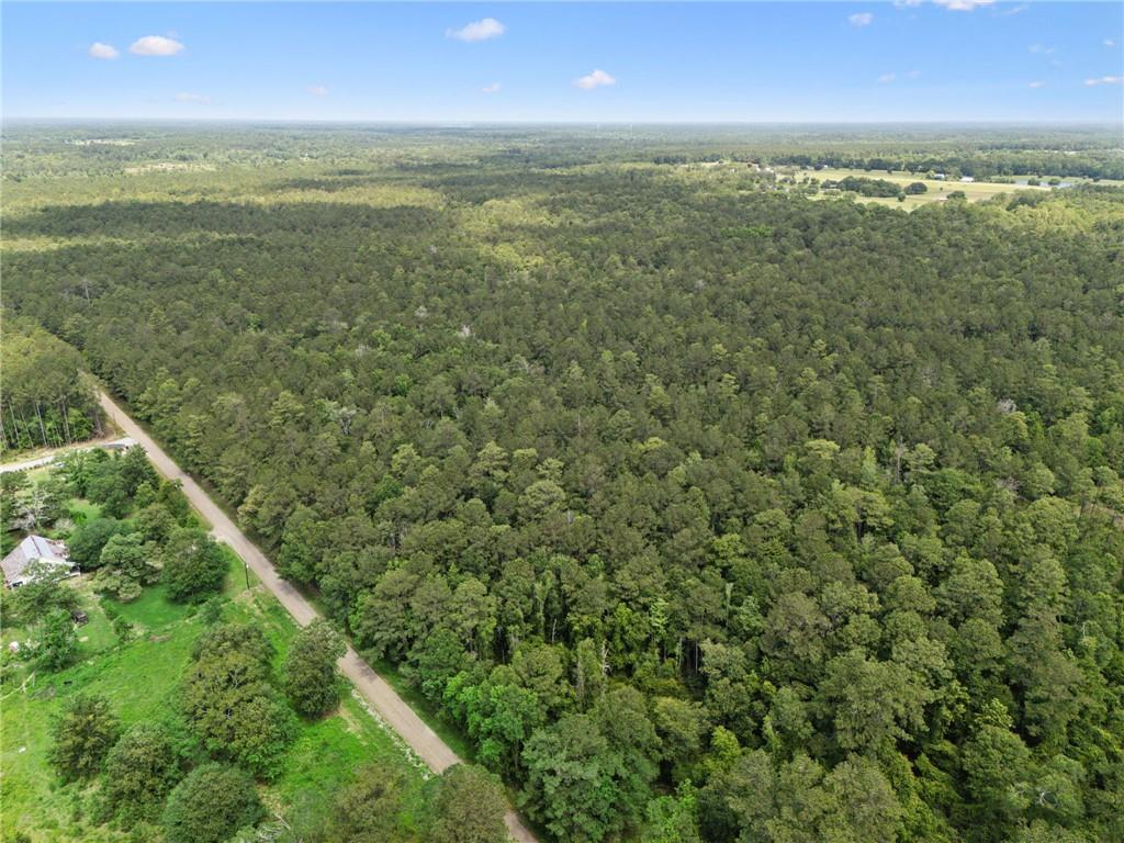 1 7.01 Acres) Bruhl Road Folsom, LA 70437 - Photo 9 of 12