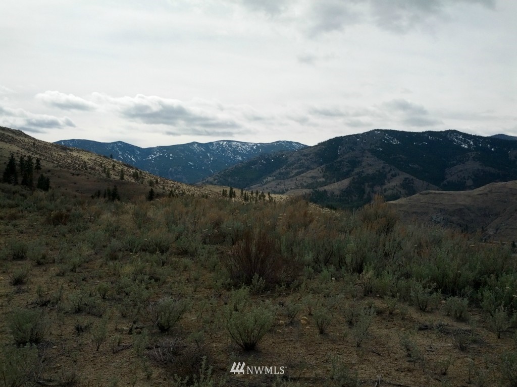 15 Cowboy Road Methow, WA 98843 - Photo 2 of 6