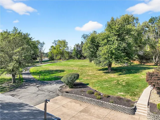 a view of a large trees with a yard
