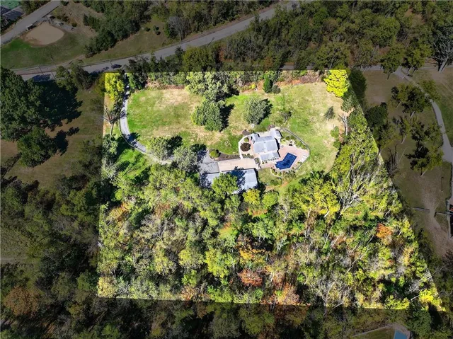 a picture of flowers