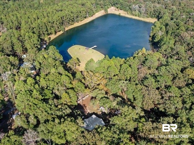 4650 Wiggins Lane Wilmer, AL 36587 - Photo 65 of 66 View of property location with a forest and a nearby body of water