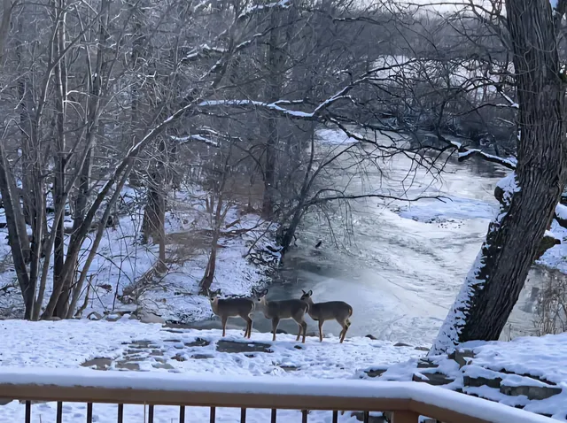 $1,340,000 | 19583 West Goodwin Road, Wilmington, IL 60481