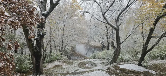 $1,340,000 | 19583 West Goodwin Road, Wilmington, IL 60481