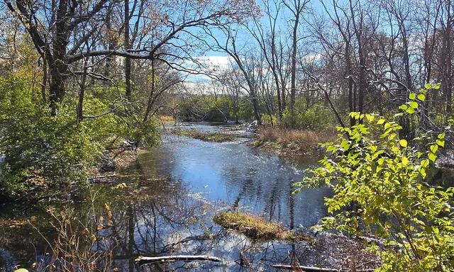 $1,340,000 | 19583 West Goodwin Road, Wilmington, IL 60481