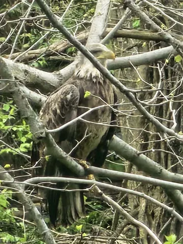 $1,340,000 | 19583 West Goodwin Road, Wilmington, IL 60481