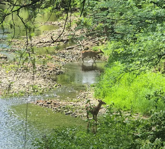 $1,340,000 | 19583 West Goodwin Road, Wilmington, IL 60481