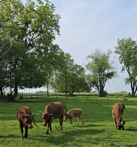 $1,340,000 | 19583 West Goodwin Road, Wilmington, IL 60481