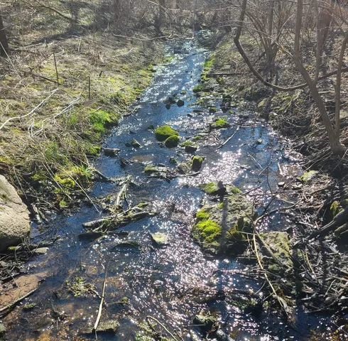 $1,340,000 | 19583 West Goodwin Road, Wilmington, IL 60481