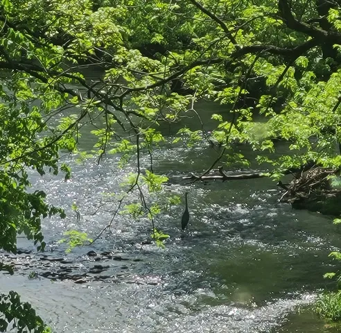 $1,340,000 | 19583 West Goodwin Road, Wilmington, IL 60481