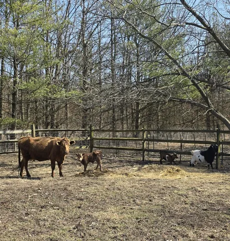 $1,340,000 | 19583 West Goodwin Road, Wilmington, IL 60481