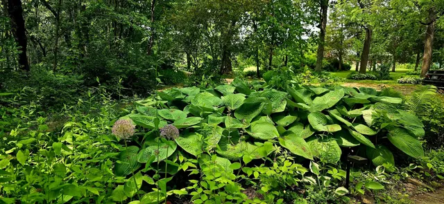 $1,340,000 | 19583 West Goodwin Road, Wilmington, IL 60481