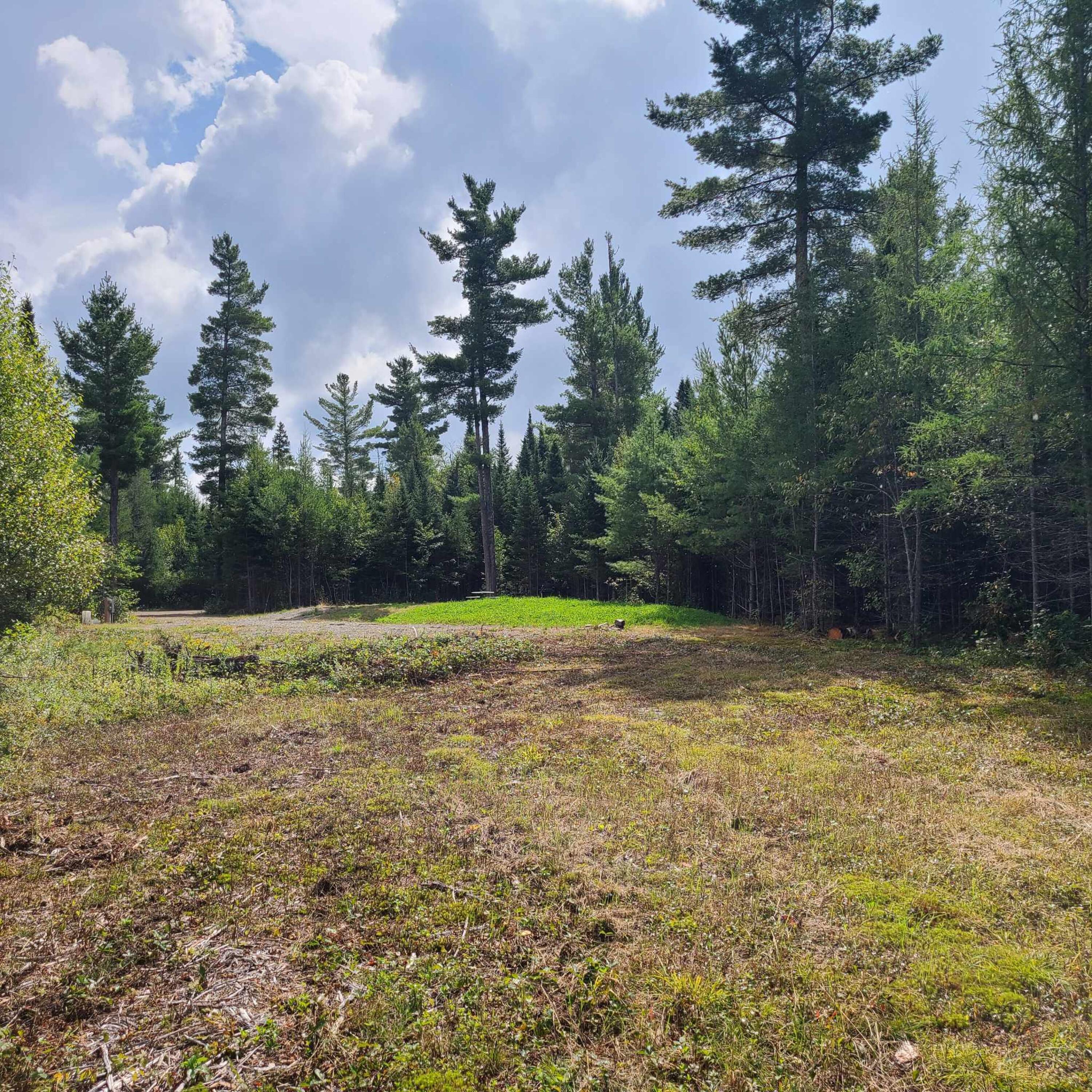 2 Tbd Map Road Stratton, ME 04982 - Photo 11 of 21 2.01 Acres