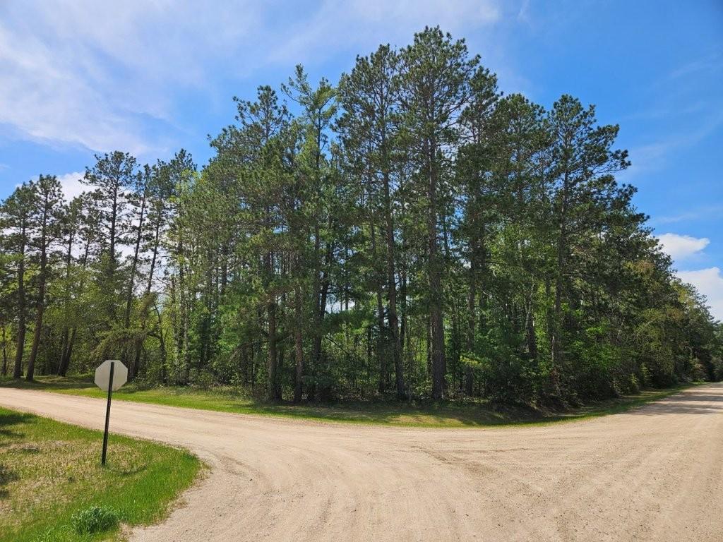 32951 Dahlberg Lake Road Bagley, MN 56621 - Photo 8 of 59