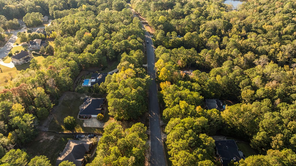 1009 Crosswinds Drive Midland, GA 31820 - Photo 28 of 29 a view of a tree