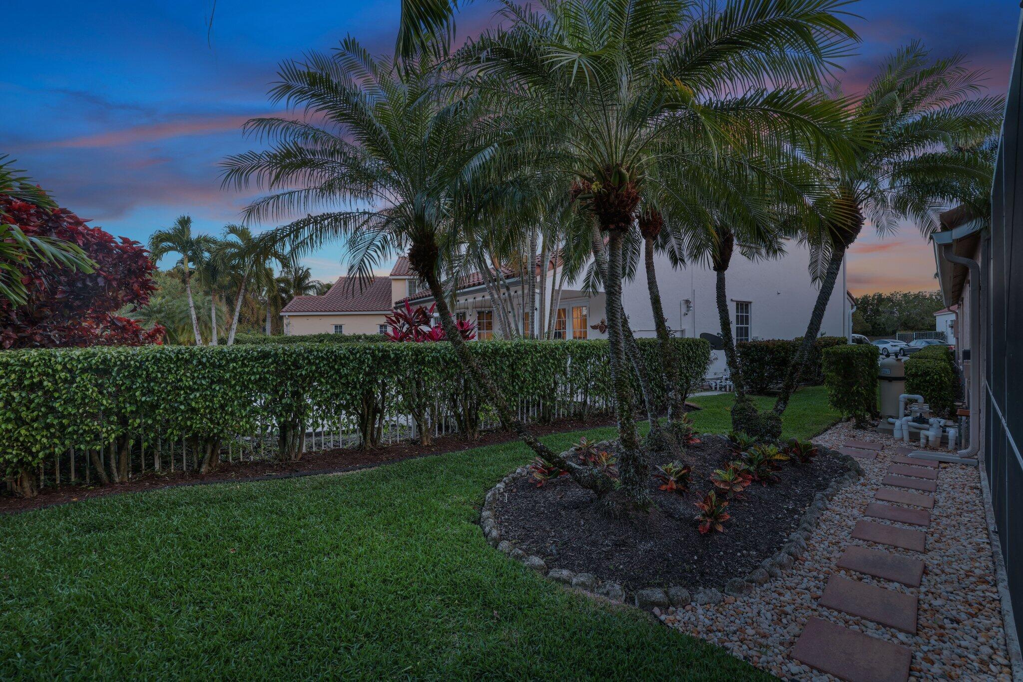116 Cameron Drive Weston, FL 33326 - Photo 62 of 75 a view of a yard with a palm tree