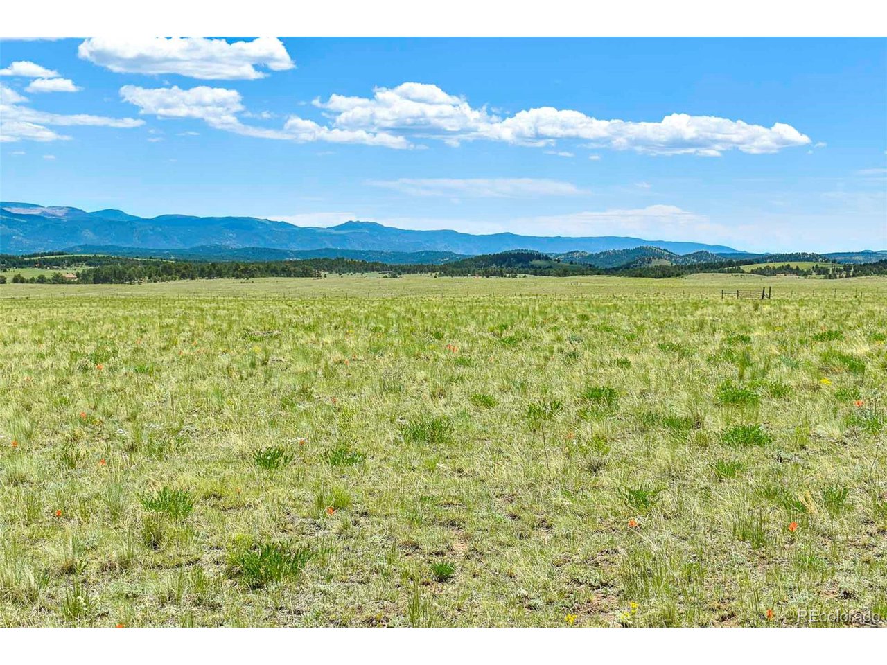 63 County Road Guffey, CO 80820 - Photo 31 of 35 Gallery Image 31