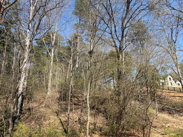 Lot 0 Jack Pittman Road Monroe, GA 30656 - Photo 5 of 5