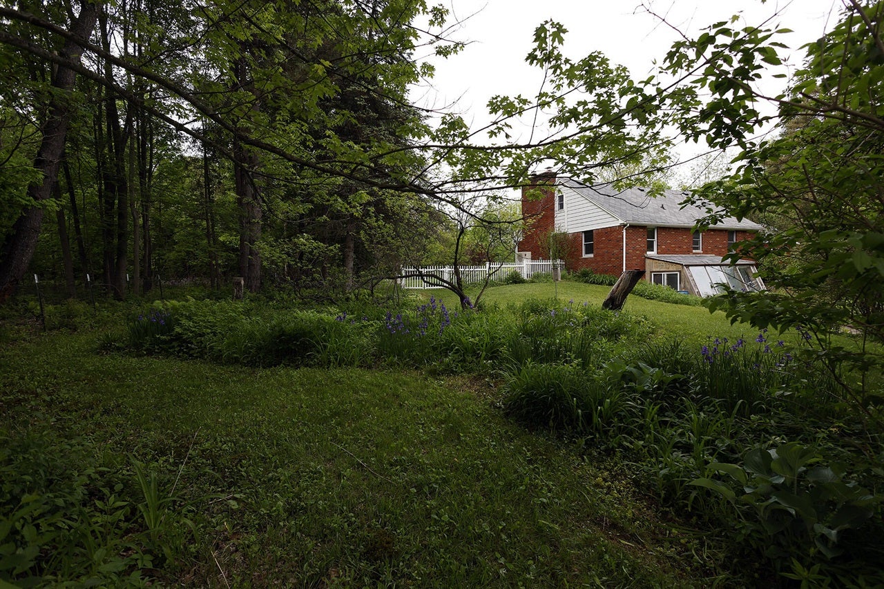 5801 North Territorial Road Dexter, MI 48130 - Photo 48 of 61 Gallery Image 48