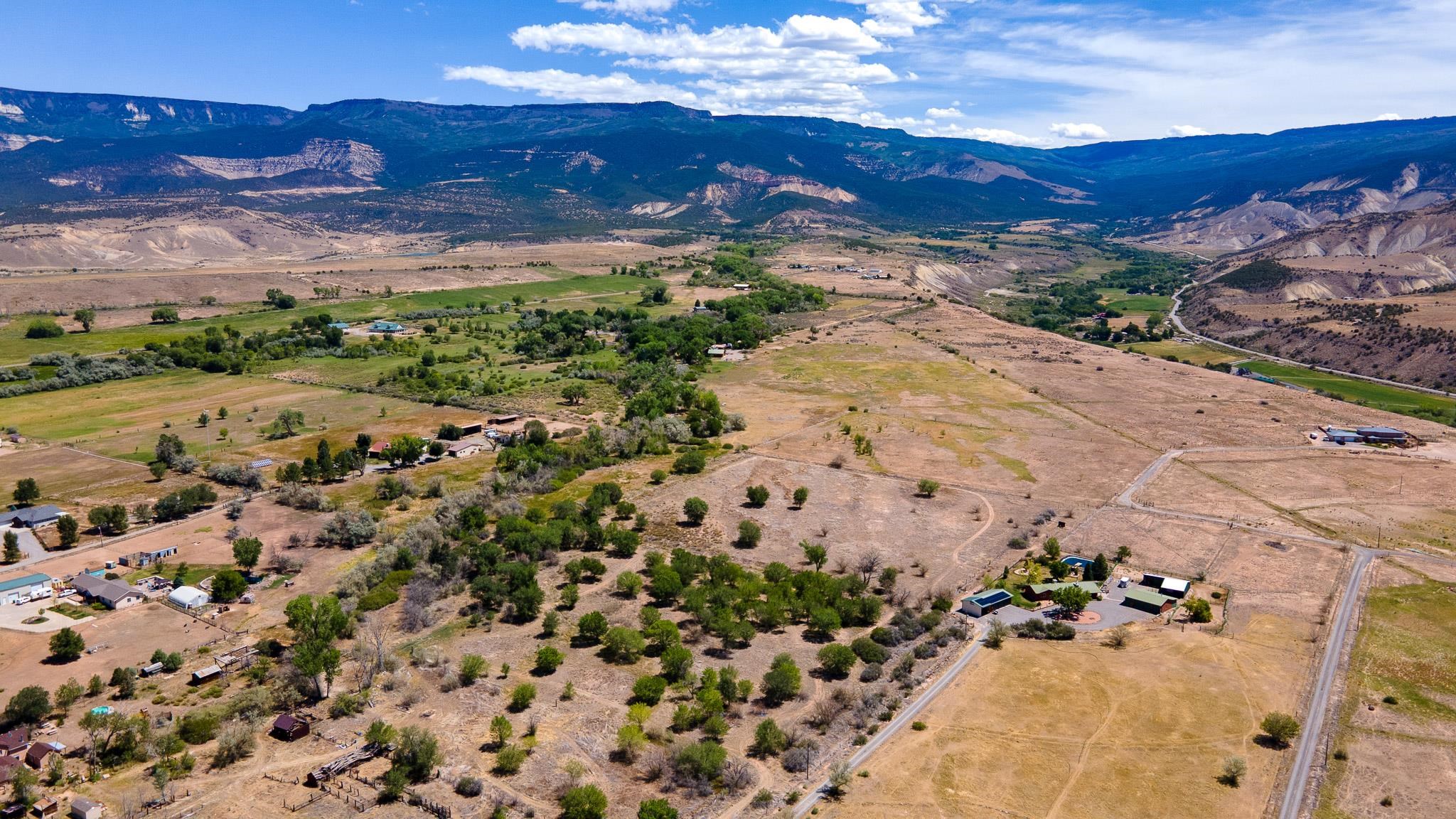 3003 Purdy Mesa Road Whitewater, CO 81527 - Photo 12 of 33 a view of a yard with mountain view