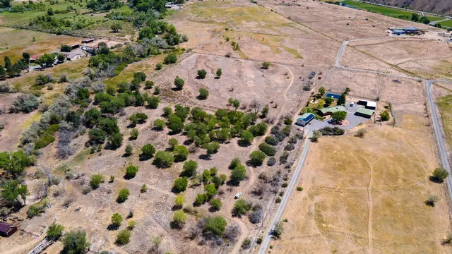 a view of a yard with a tree