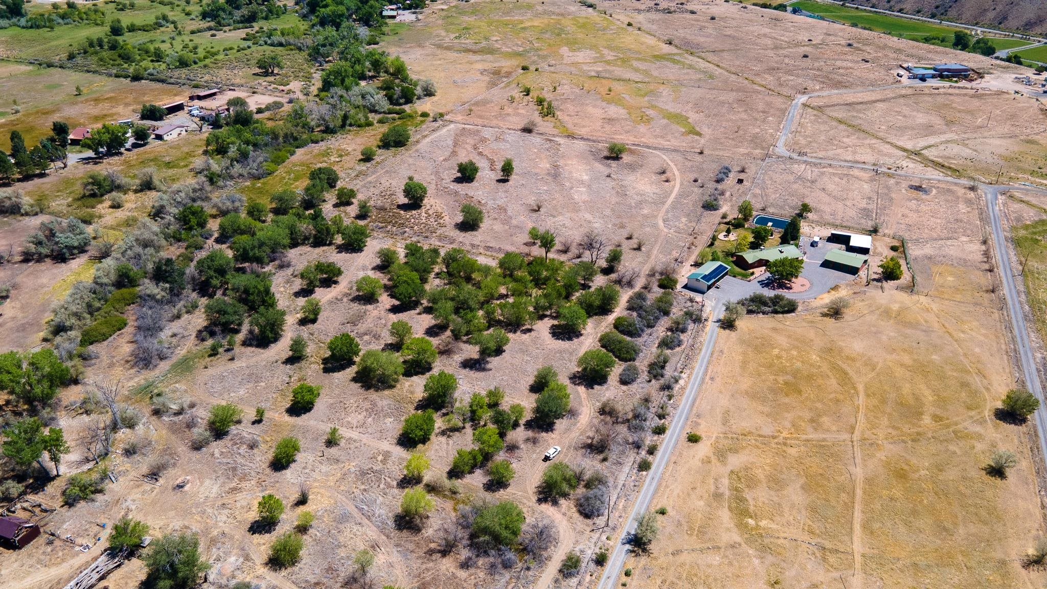 3003 Purdy Mesa Road Whitewater, CO 81527 - Photo 15 of 33