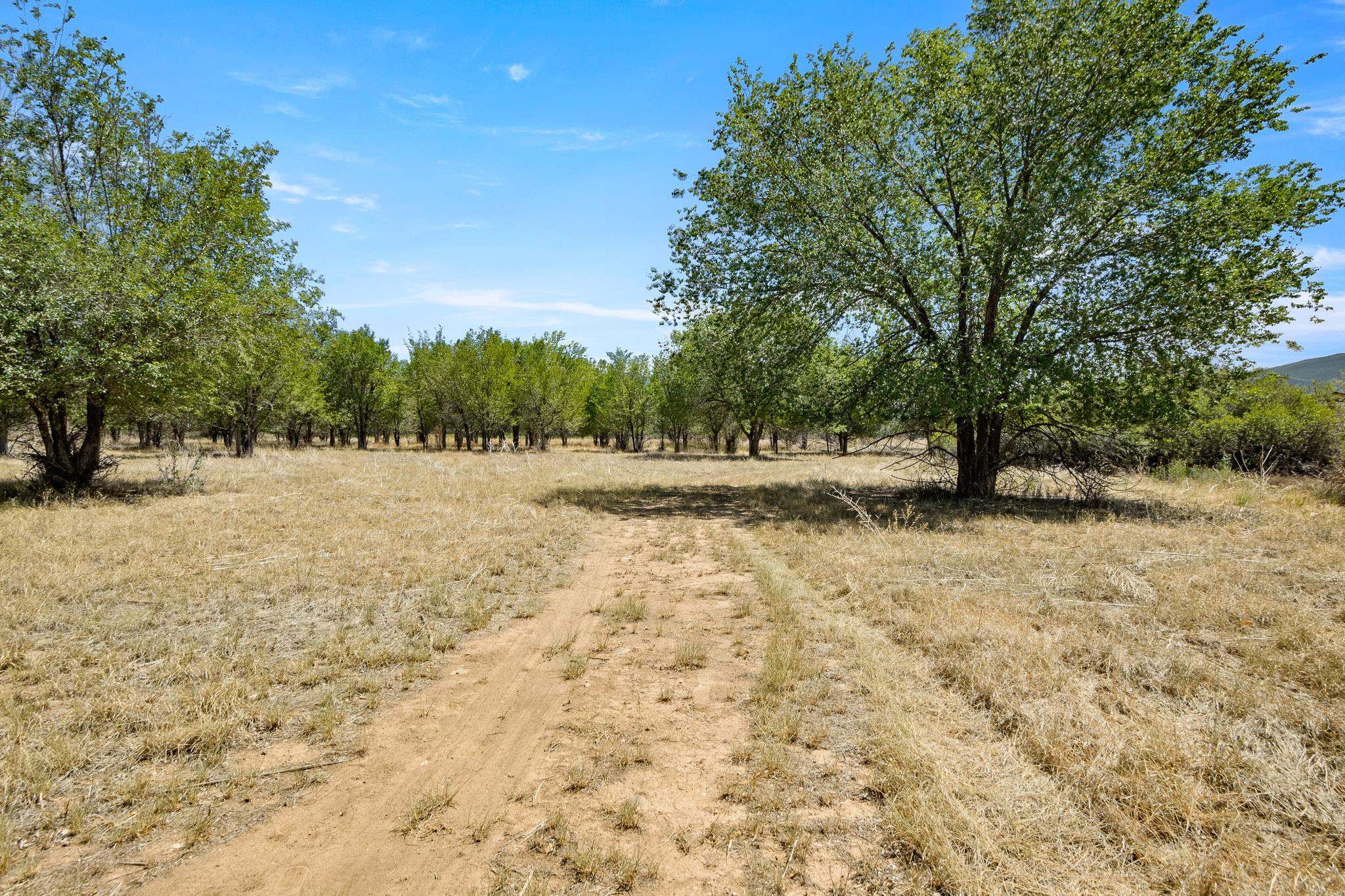 3003 Purdy Mesa Road Whitewater, CO 81527 - Photo 16 of 33 a view of outdoor space with trees
