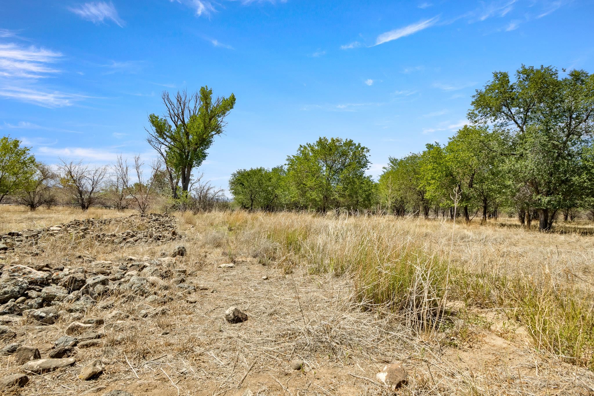 3003 Purdy Mesa Road Whitewater, CO 81527 - Photo 17 of 33 a view of a yard with a tree