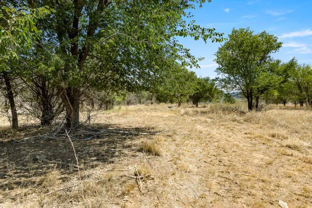 a view of a yard with trees