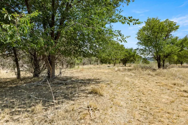 a view of a yard with a tree