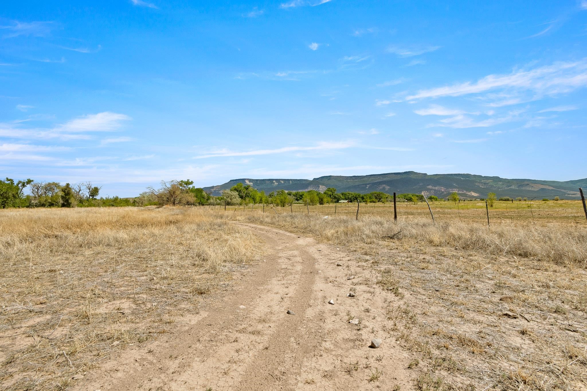 3003 Purdy Mesa Road Whitewater, CO 81527 - Photo 24 of 33 a view of an ocean with beach