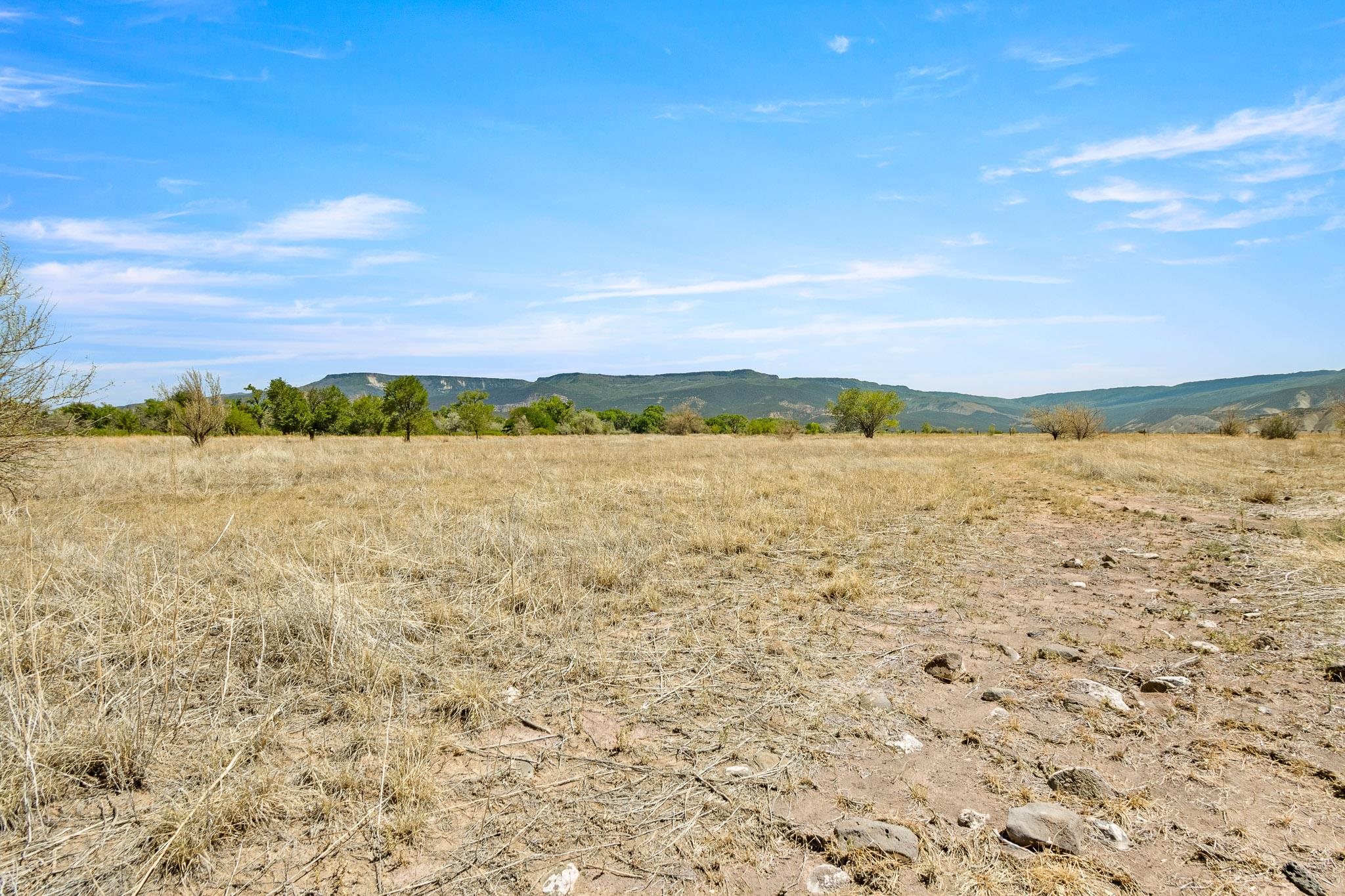 3003 Purdy Mesa Road Whitewater, CO 81527 - Photo 27 of 33 a view of an ocean