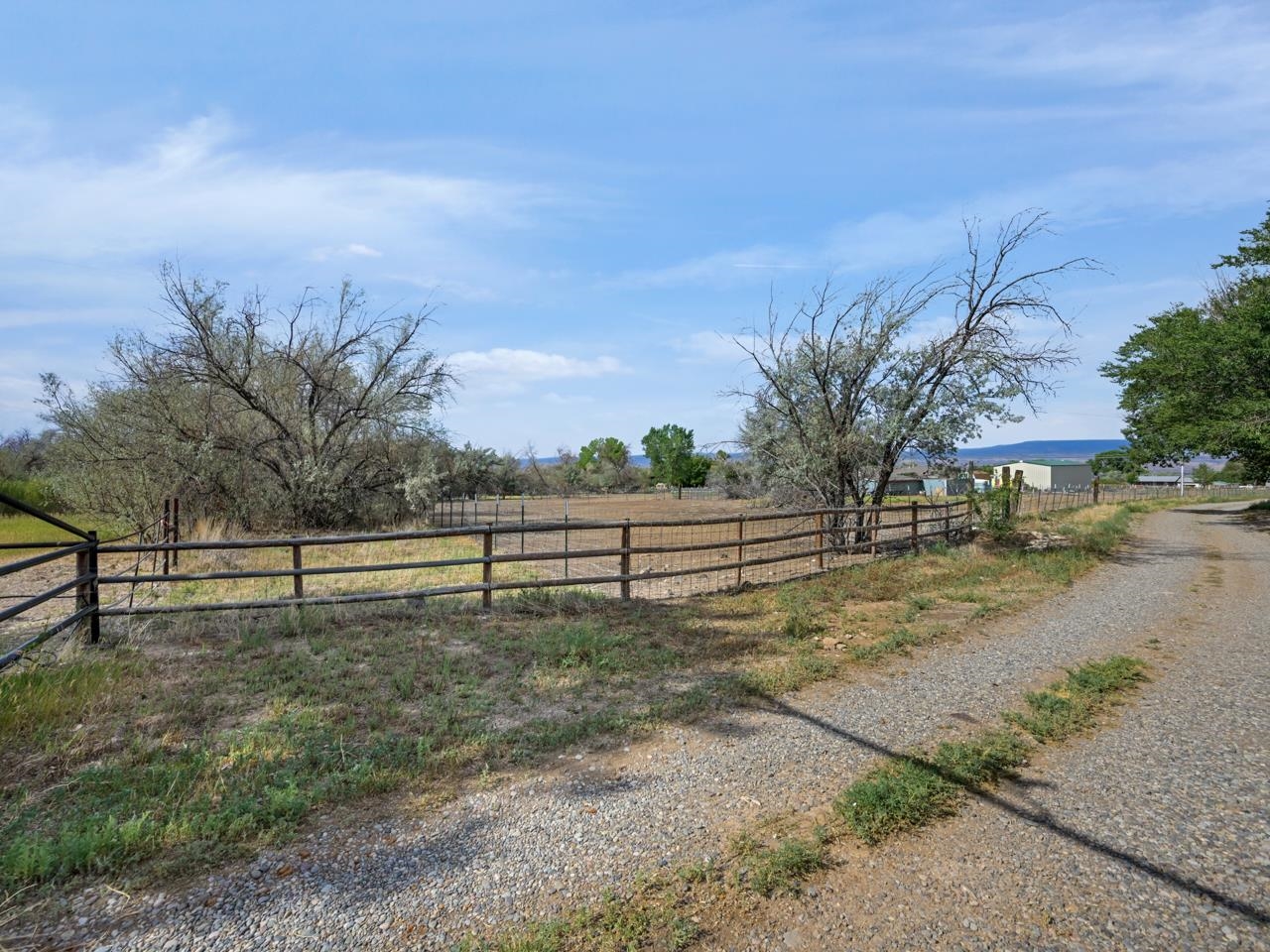 3003 Purdy Mesa Road Whitewater, CO 81527 - Photo 32 of 33