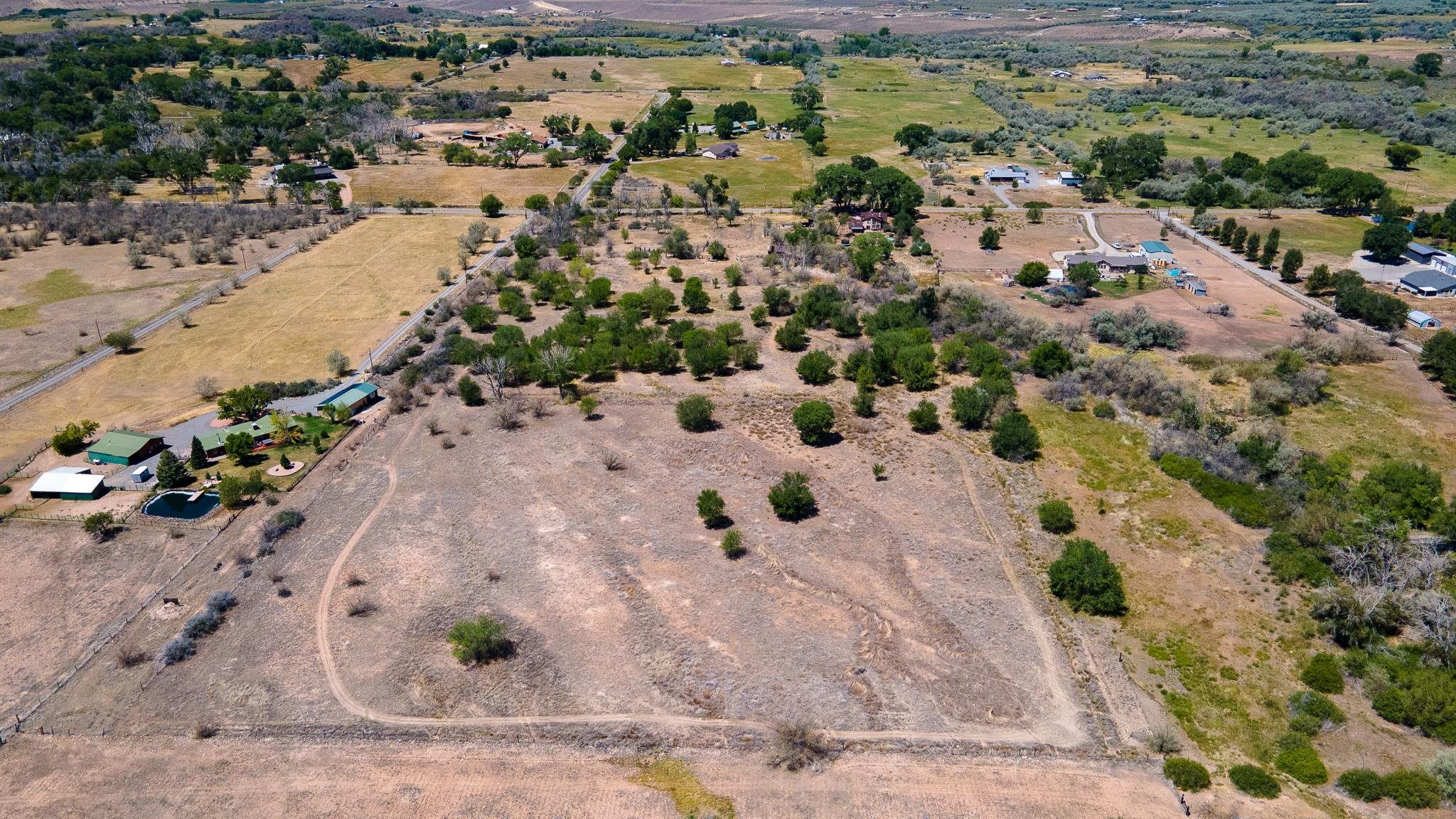 3003 Purdy Mesa Road Whitewater, CO 81527 - Photo 8 of 33 a view of a yard with a tree