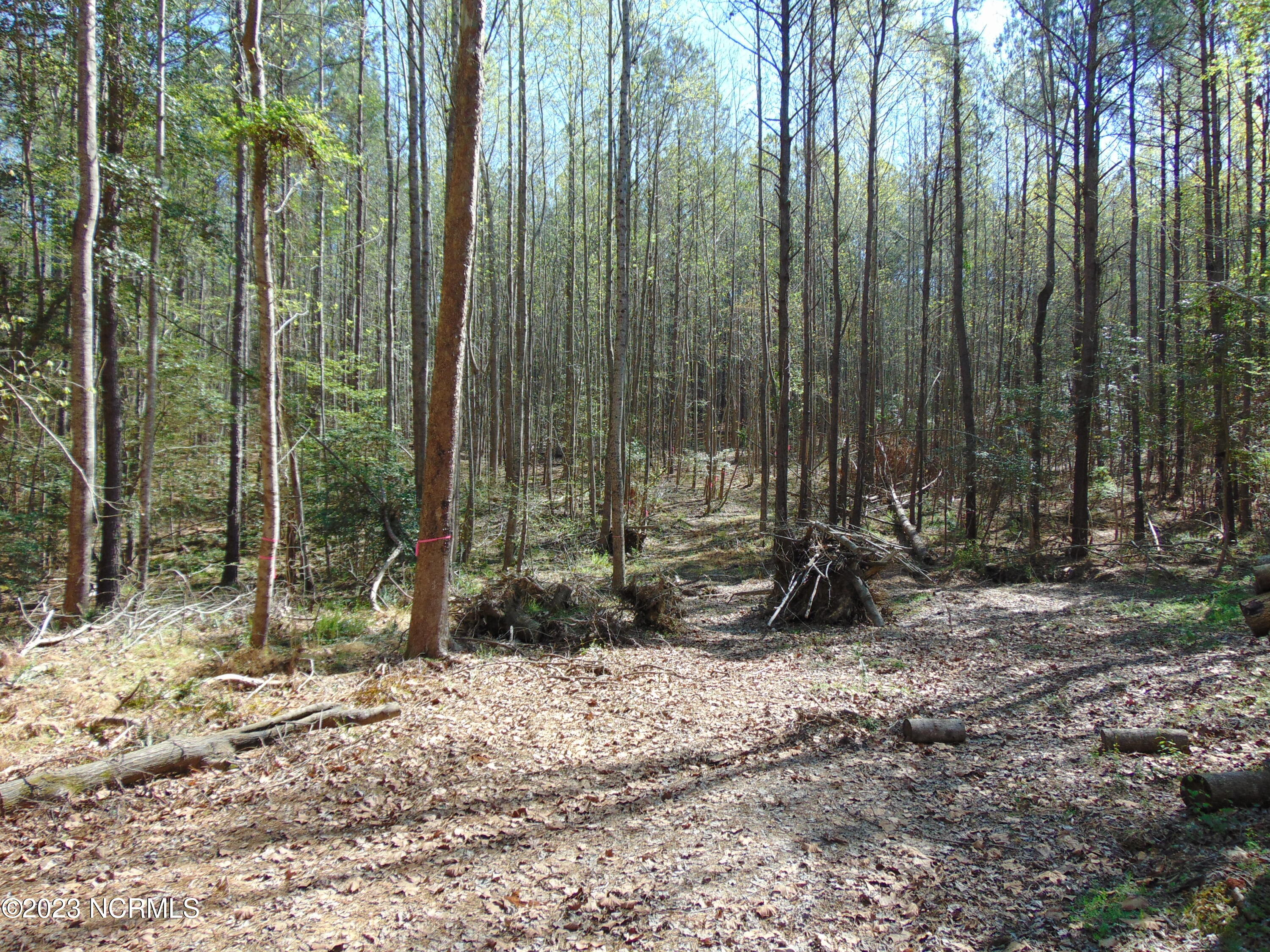 0 Bass Road Spring Hope, NC 27882 - Photo 2 of 9 DSC03444