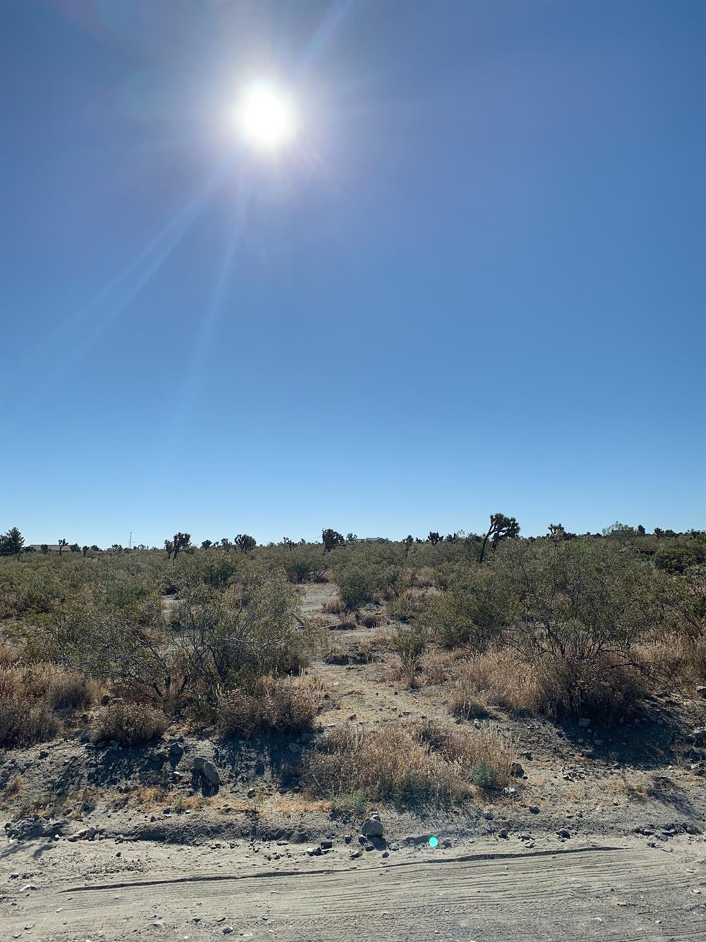 11873 Azure View Road Pinon Hills, CA 92372 - Photo 1 of 1 a view of a dry yard