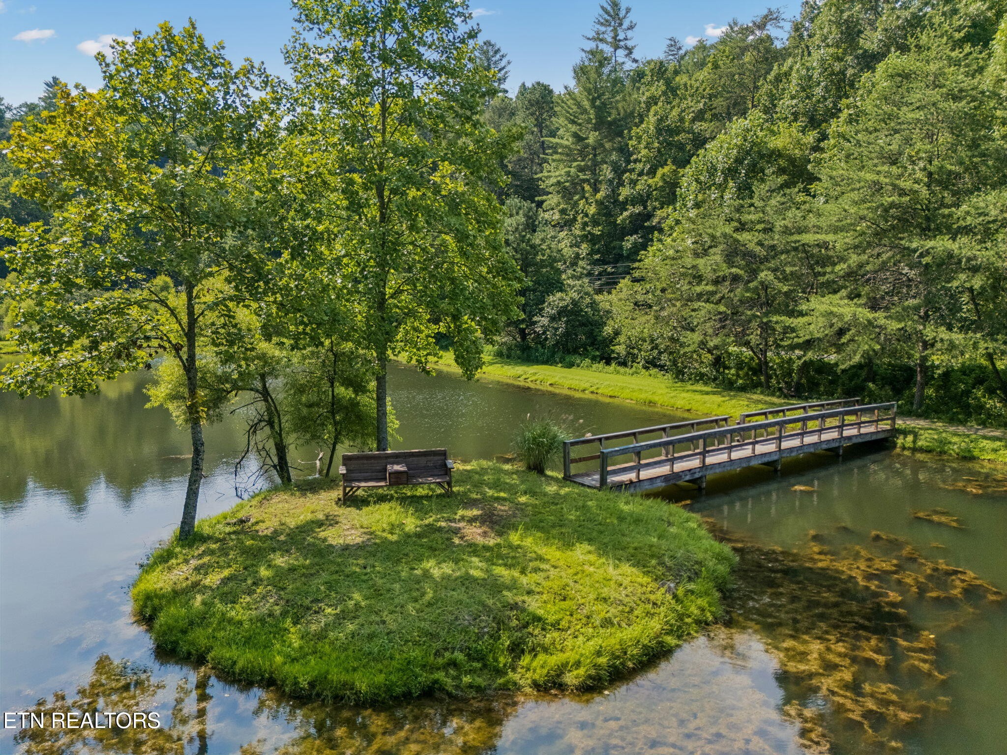 4643 Raven Branch Road Del Rio, TN 37727 - Photo 50 of 60 Gallery Image 50