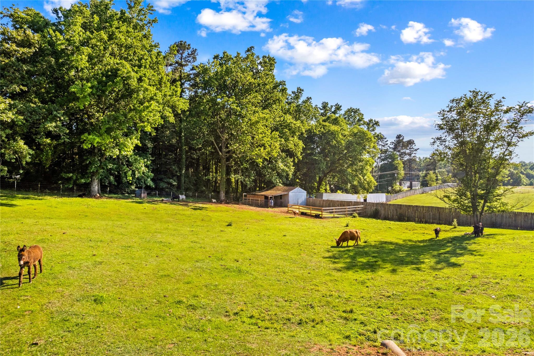 1124 Majolica Road Salisbury, NC 28147 - Photo 5 of 47