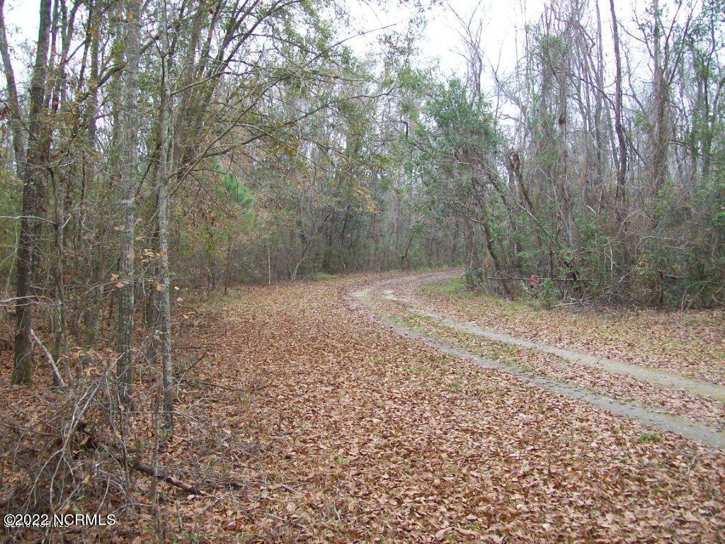 1917 Jimmys Road New Bern, NC 28560 - Photo 8 of 15 5 Lots of Wooded area
