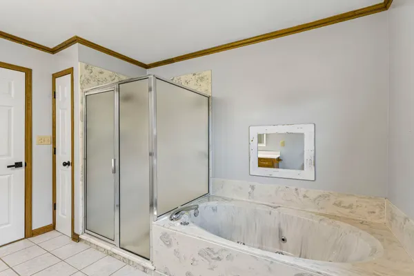 a bathroom with a bathtub and a shower